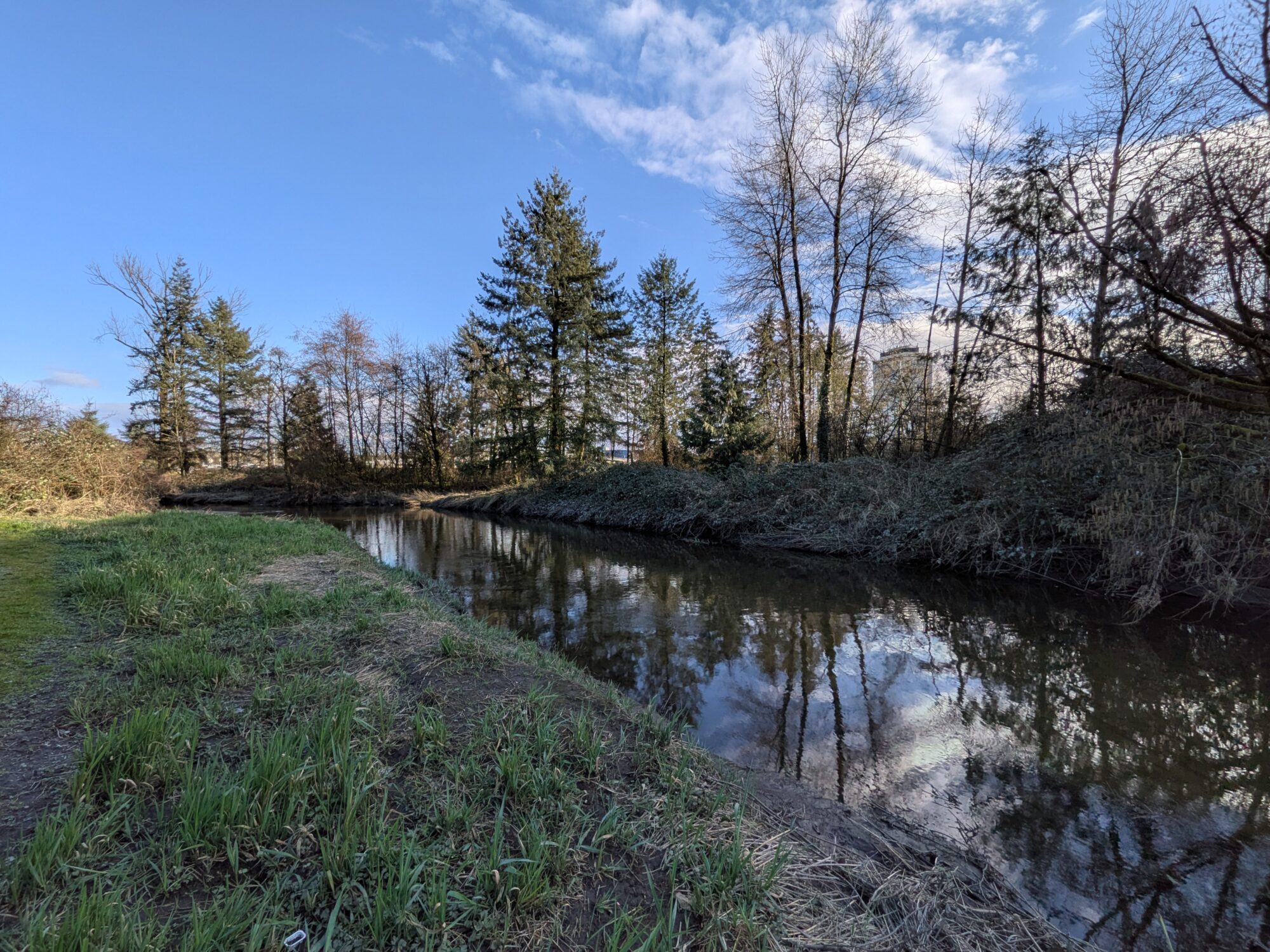 A pretty little creek with some trees in the background, sun going down