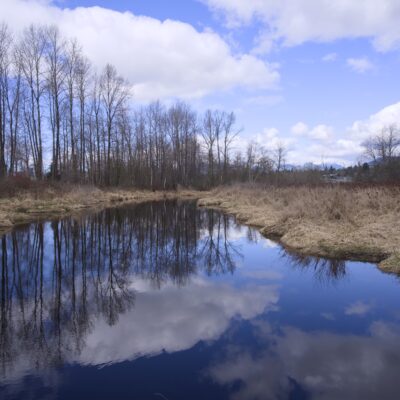 A view of Still Creek, framed by some bare trees and perfectly reflecting a somewhat cloudly blue sky