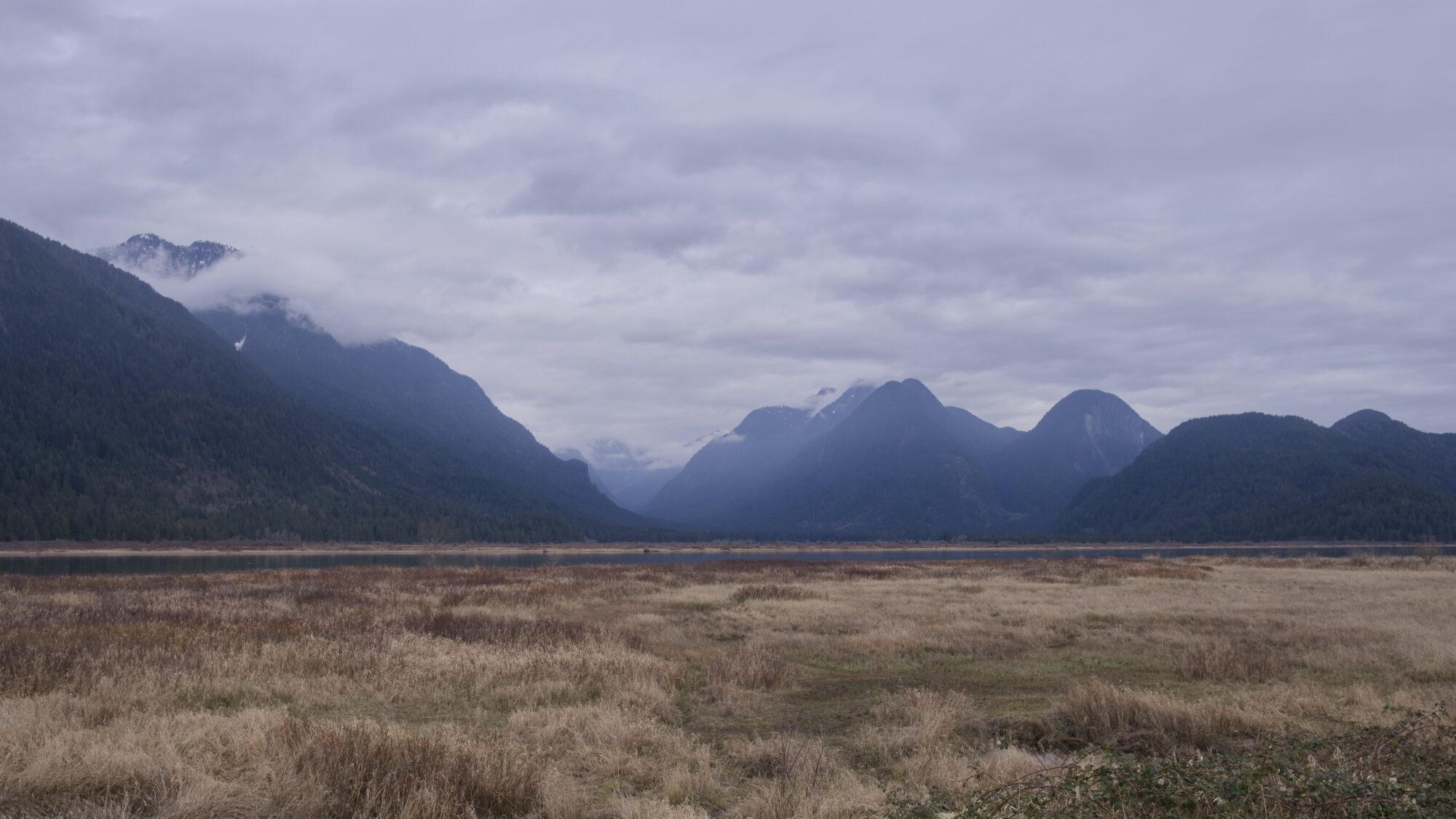 Low rolling mountains under a mostly overcast sky. In the foreground are yellow-brown marshy reeds and behind those, just a hint of a river