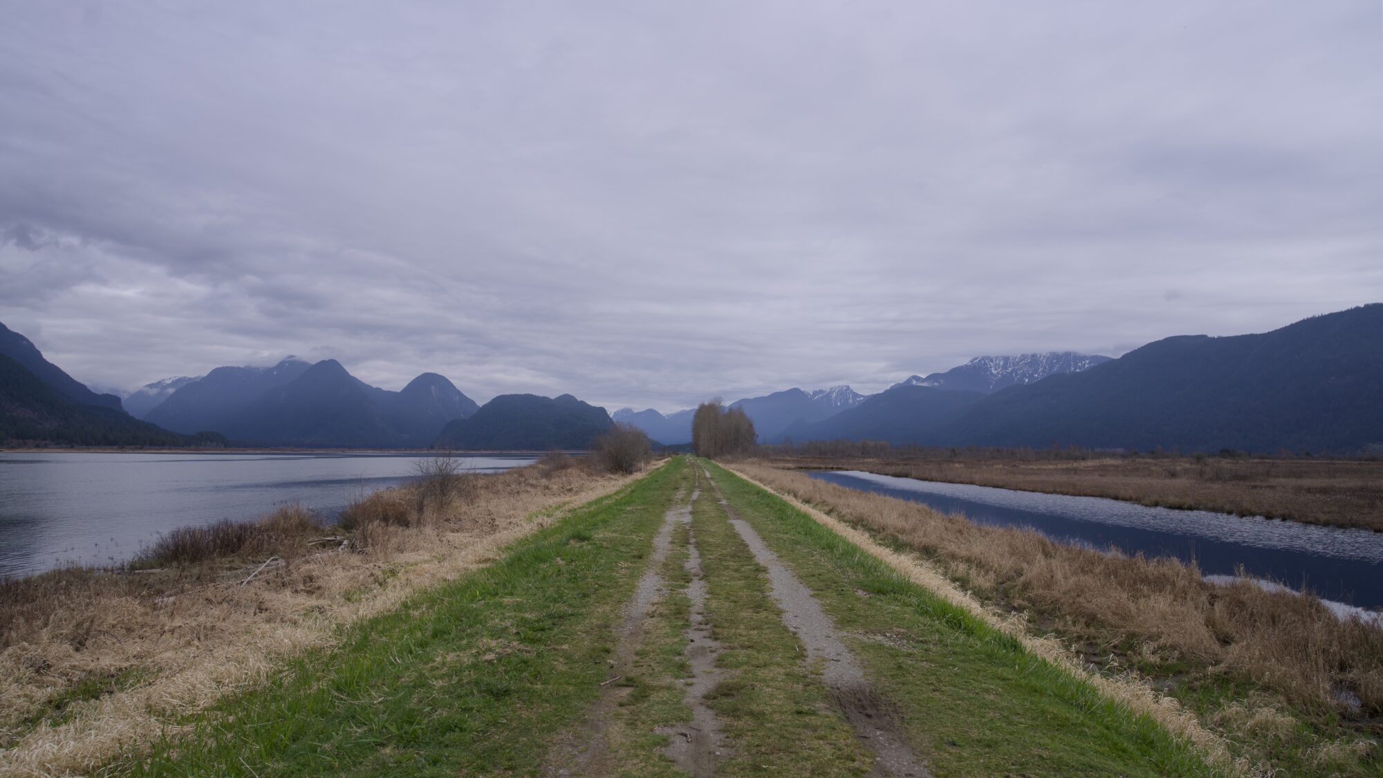 A wide grassy trail between a river on the left, and a smaller creek on the right. The sky is overcase, and there are low bluish mountains in the background