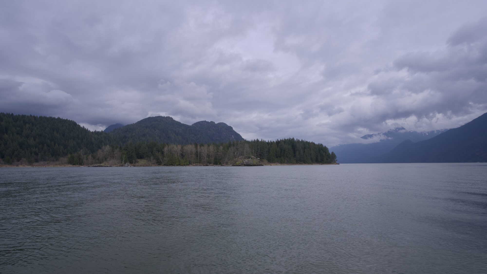A look up Pitt Lake, under an overcast sky