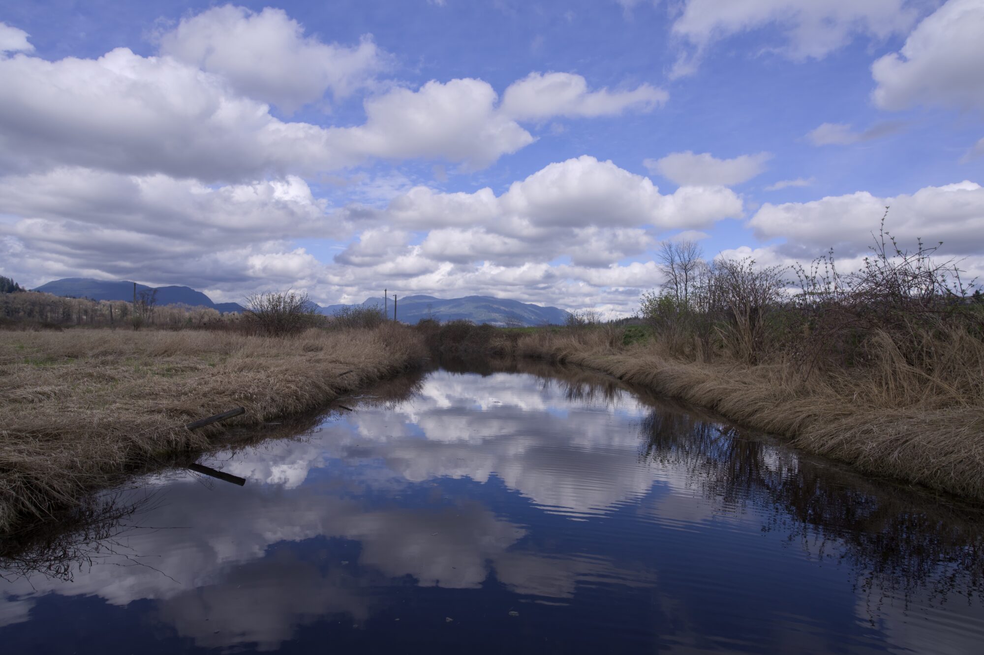 A little creek under a blue sky full of fluffy clouds. The water is smooth and perfectly reflecting the sky