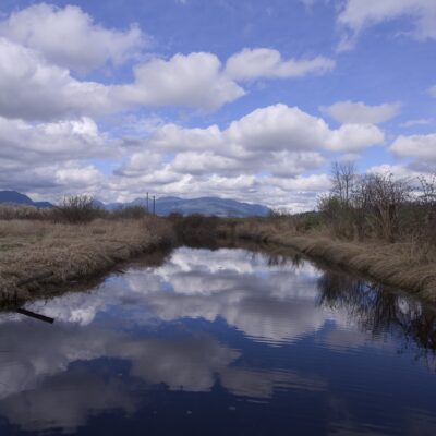 A little creek under a blue sky full of fluffy clouds. The water is smooth and perfectly reflecting the sky