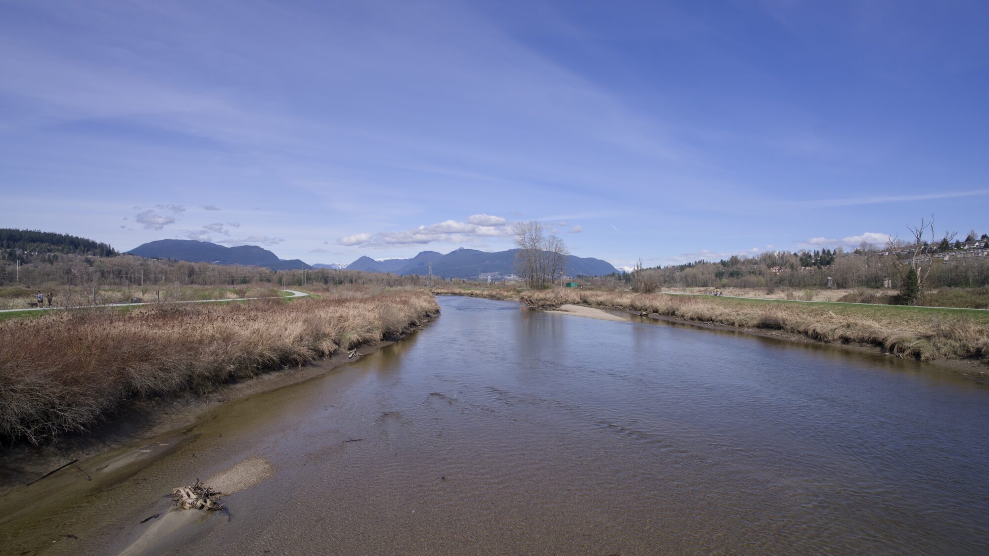 Coquitlam River under a mostly blue sky, with just a few wispy clouds. The water is very shallow