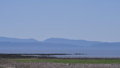The edge of the outer marshes, where they meet the open sea. There is a band of very green reeds, and behind that dark brownish ones. Beyond that is a long rocky line heading into the water. Hazy blue mountains under a hazy blue sky