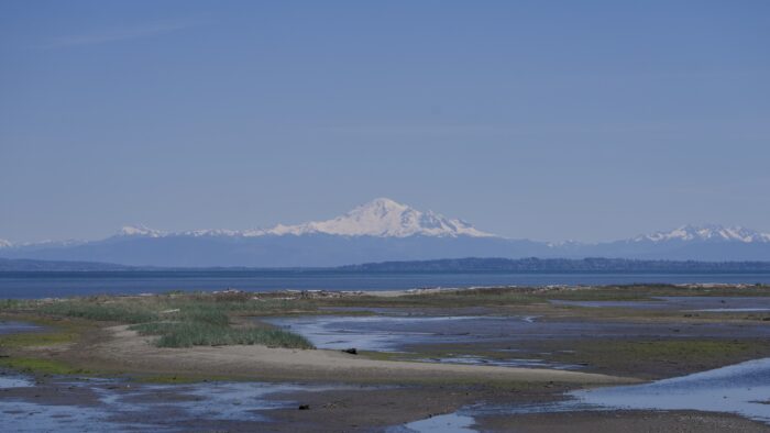 Mount Baker in the distance, over Boundary Bay. In the foreground is low tidal flats, plus a higher and rockier stretch of land