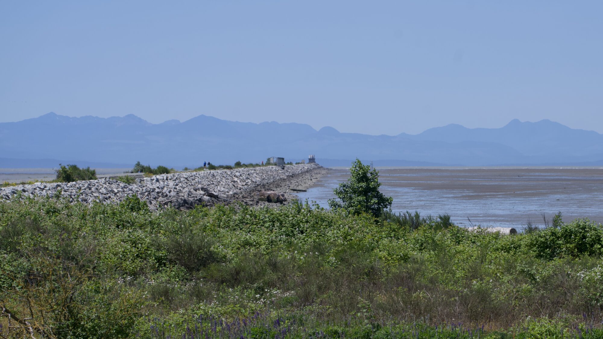 View up the south jetty, which is dotted with bushes and so on. In the background are more shoft hazy blueish mountains