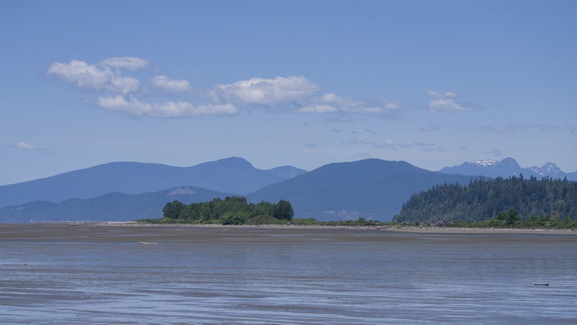 View of the North Jetty from the South Jetty. It ends with a nice clump of trees, and behind it are blue rolling mountains and a blue sky with a few small whit clouds