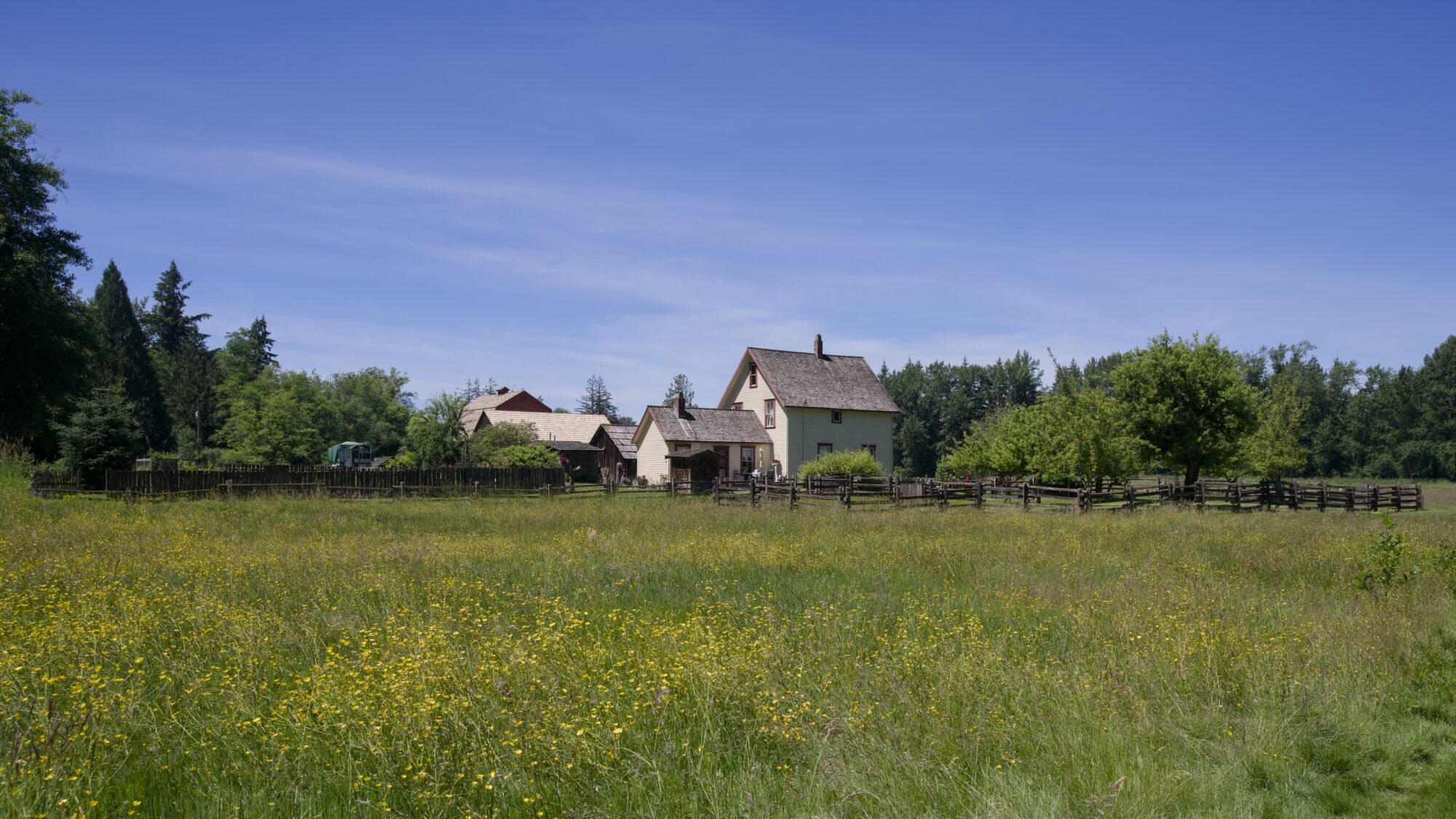 A small fenced farmstead. In the foreground is a lush field with yellow flowers. The sky is mostly blue with a few wispy bits of clouds