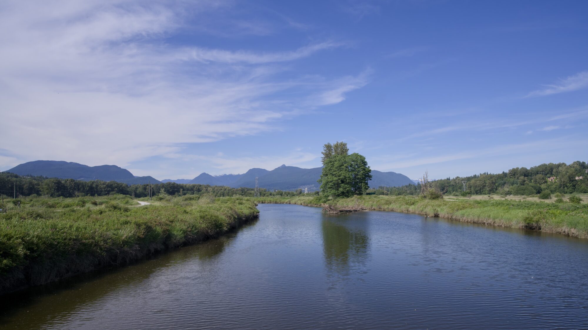 Coquitlam River from the bridge. Half the sky is taken by wispy white clouds