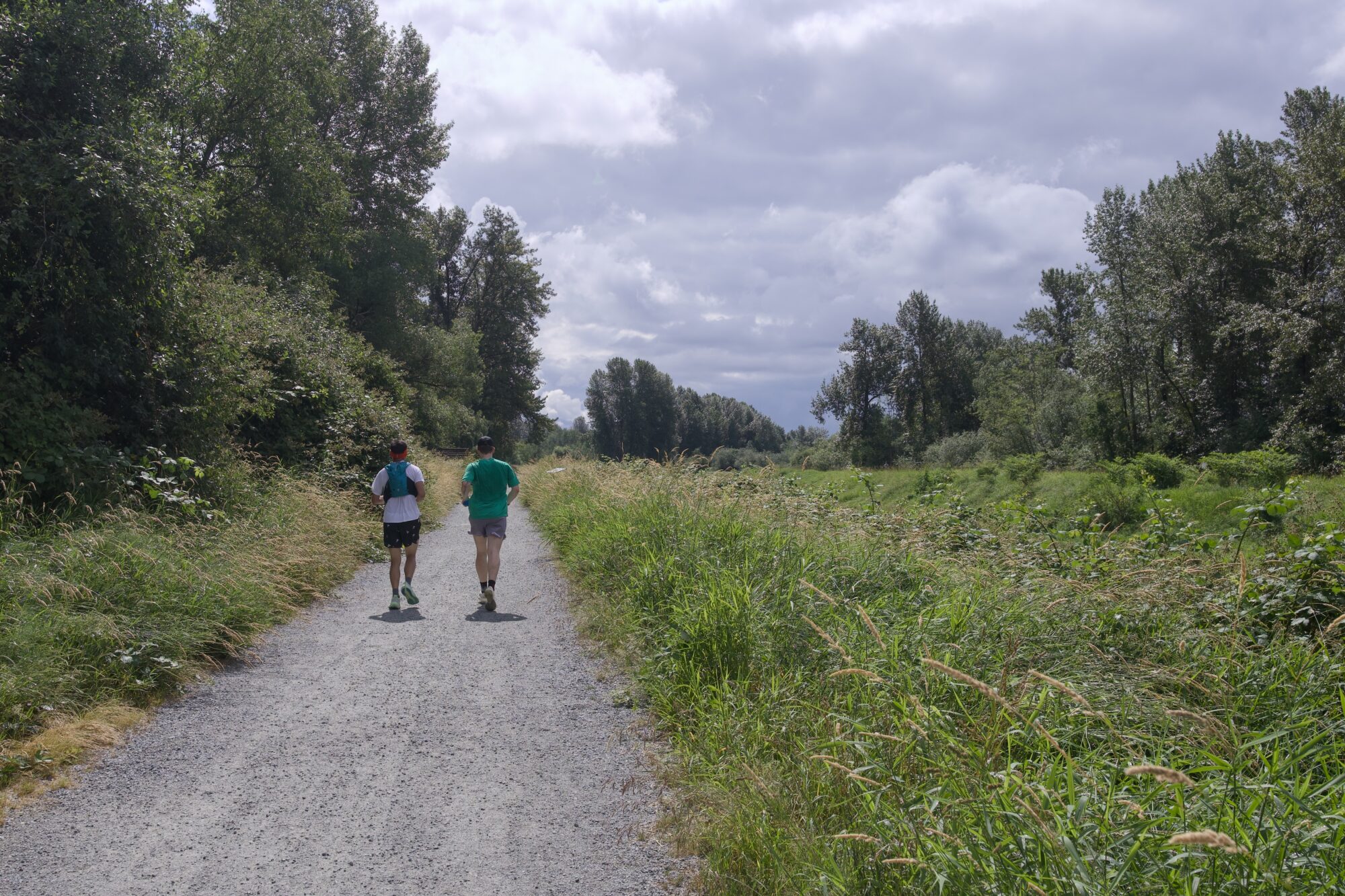 A gravelly trail stretching straight forward. On the right is a band of green grasses and buses, and then some trees. On the left, trees almost right at the edge of the trail. Two men are jogging with their backs to us