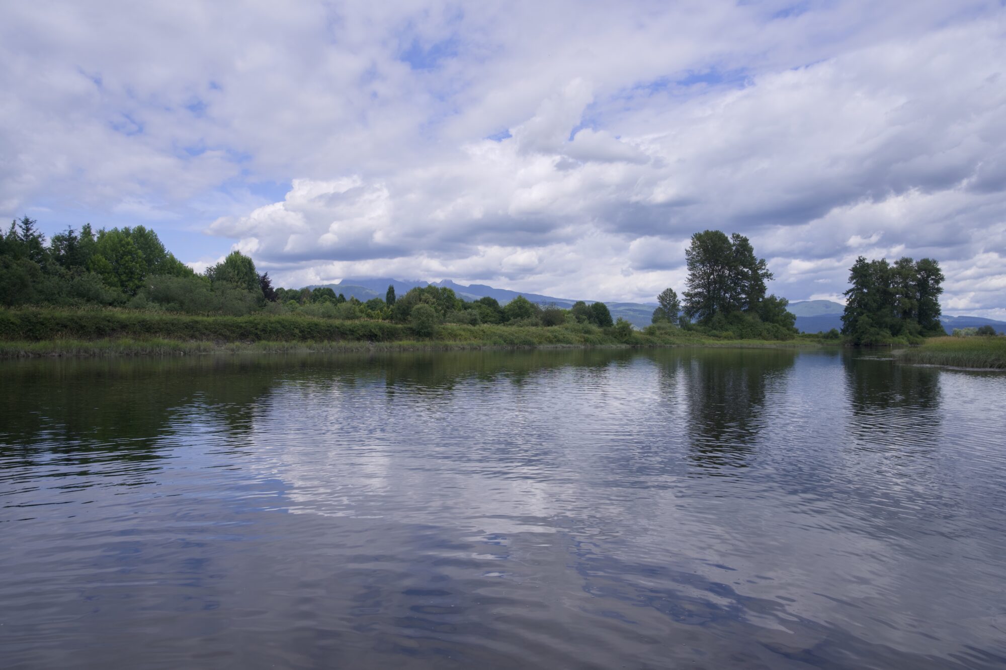 The Alouette River from the shore: the sky is mostly cloudy though with many small patches of blue, and the water is a bit ripply. The shores are very green, with lots of bushes and trees