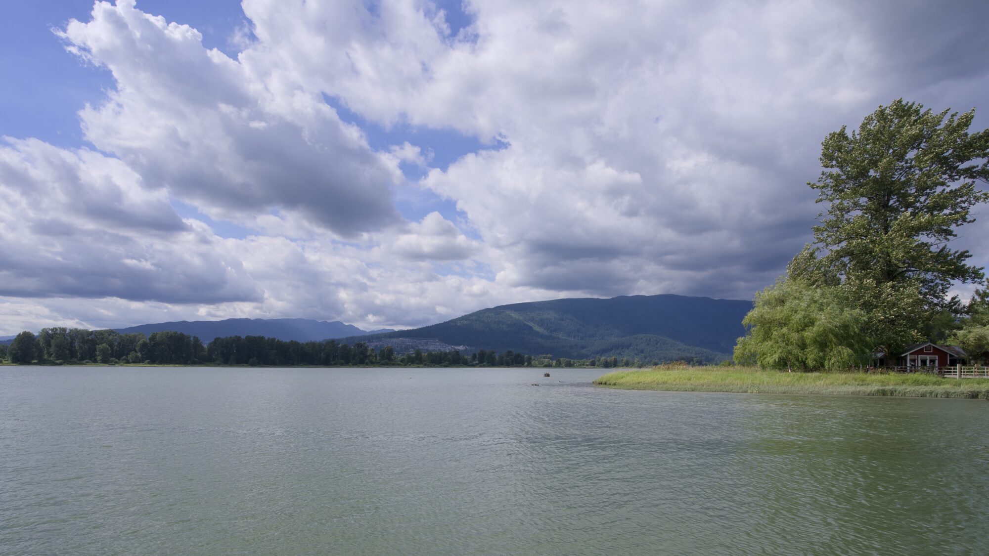 Lanscape shot of the Alouette River meeting the Pitt River. On the right are some big green trees and a little house in their shadow. In the far background (opposite shore) are more trees, and behind them, low mountains under a sky with choppy clouds