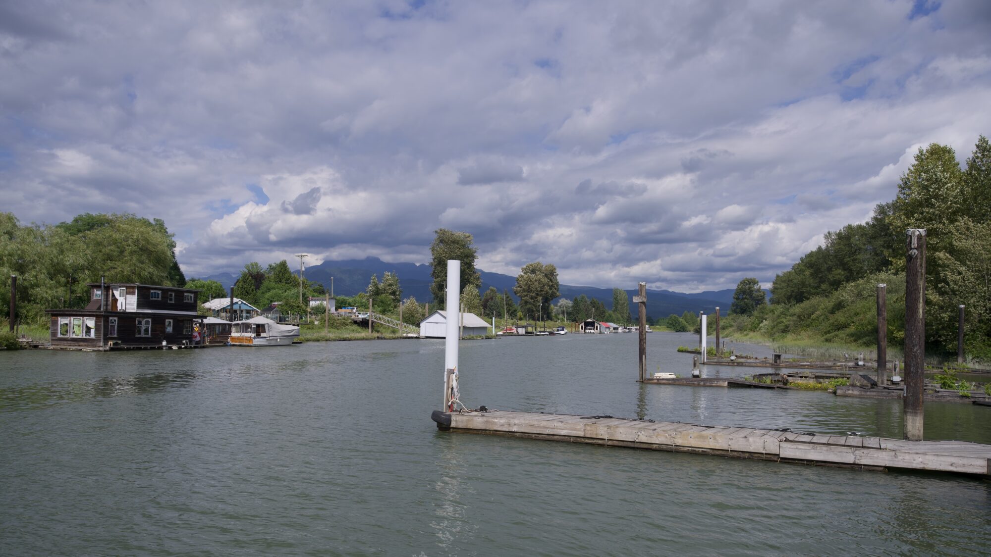 Looking up the Alouette River. Many small piers, houses on the shore, and houseboats, all with lush green trees around. The sky is mostly choppy clouds