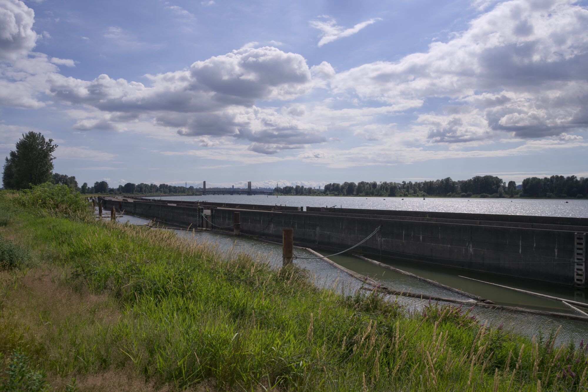 View of Pitt River, a bit downstream from Alouette River. Along this shore is an old floating bridge / highway. The sky is half covered in choppy clouds