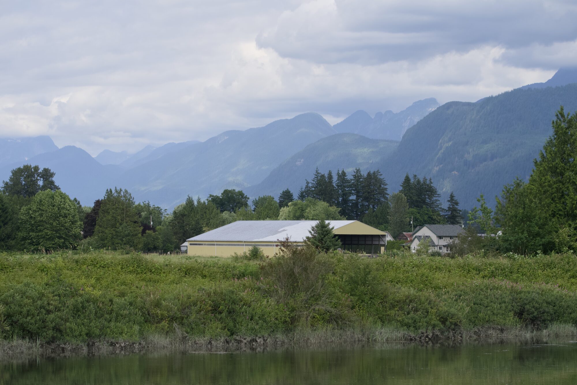 A little farm along Alouette River, among lush bushes and trees. In the background are high rolling mountains, made blue with distance