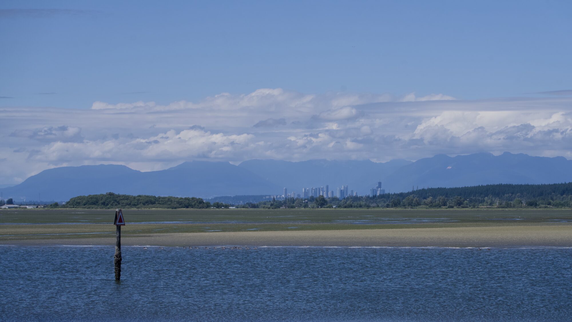 View north from Blackie Spit, across the very shallow water. Rolling hills and a cluster of towers can be seen on the opposite shore. Behind that, the North Shore mountains wreathed in clouds