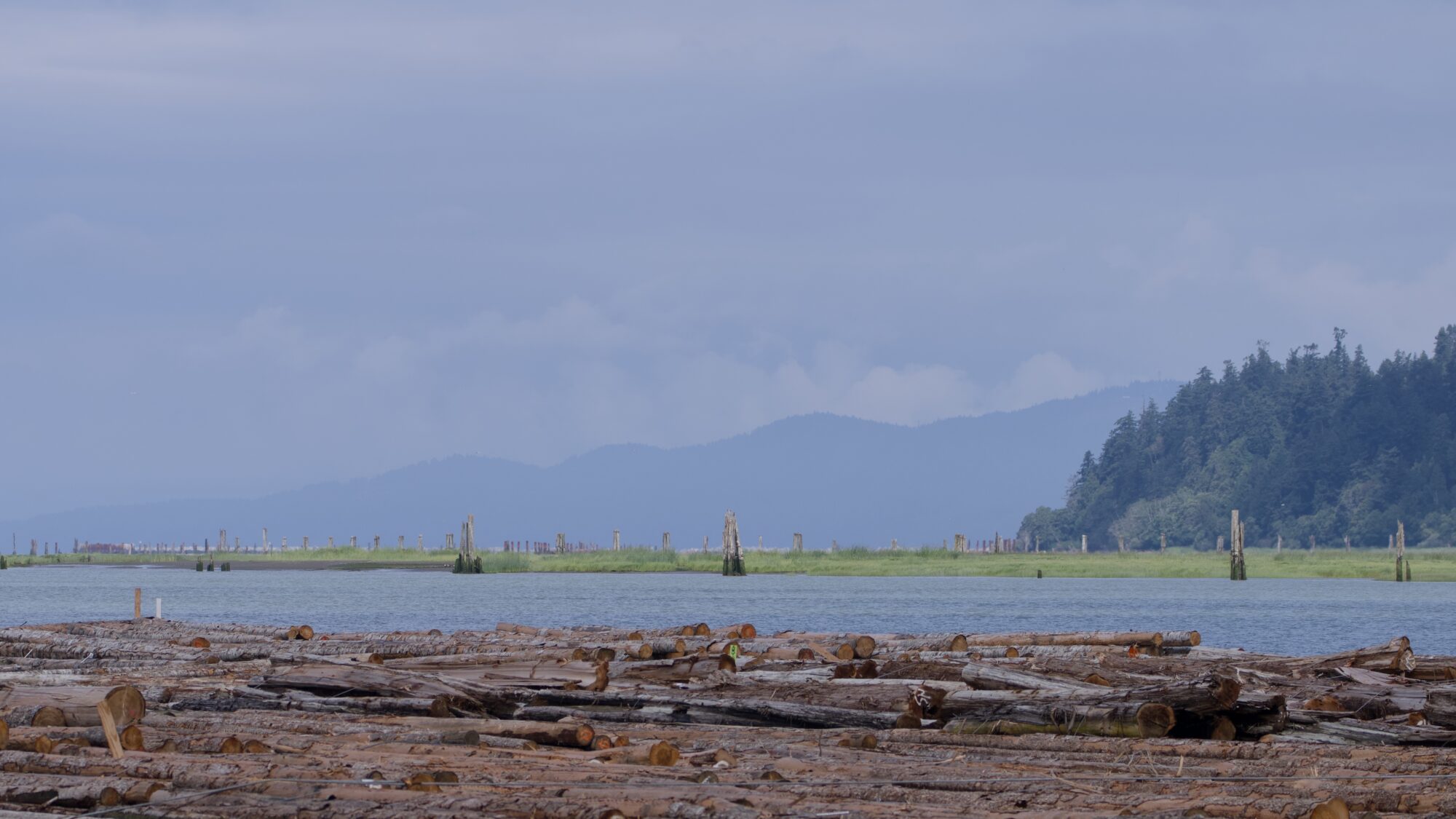 Zooming in on the opposite shore of the Fraser. We see a lot of pilings, and behind those, hazy mountains. In the foreground are log booms.