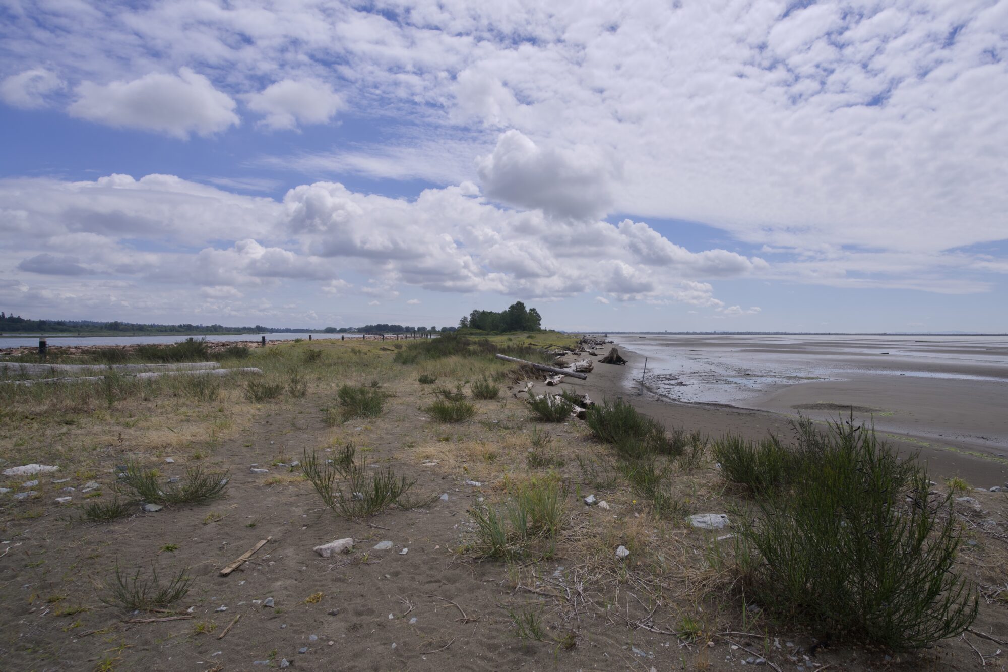 Looking back along the north jetty, from the first break. A mix of sand and scrubby vegetation. On the right, the tide is low. Above, the sky is clearing up