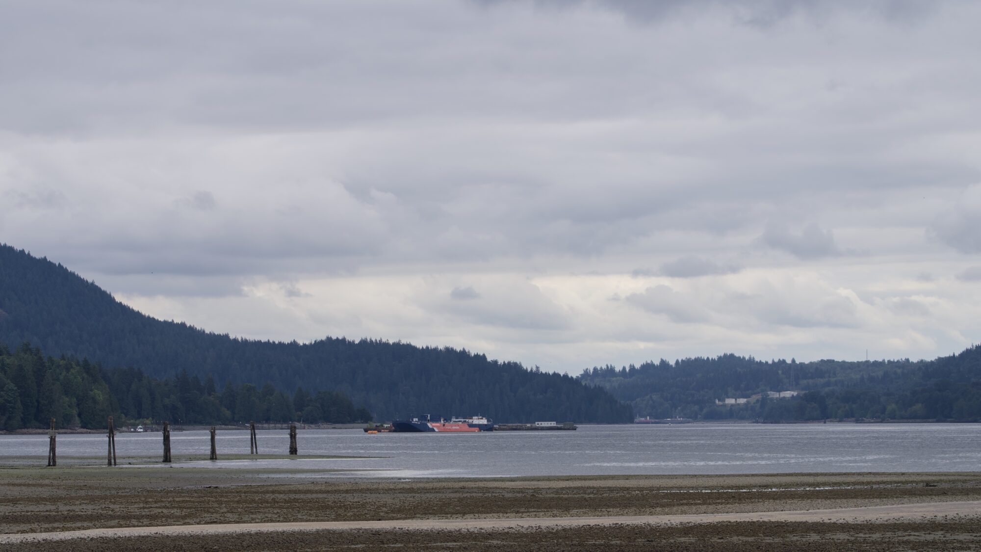 Looking east along Burrard Inlet. The tide is low, there are several pilings (serving as Purple Martin condos) at lower left). Some big ships in the middle distance. The sky is overcast, and the surrounding lands are covered in green