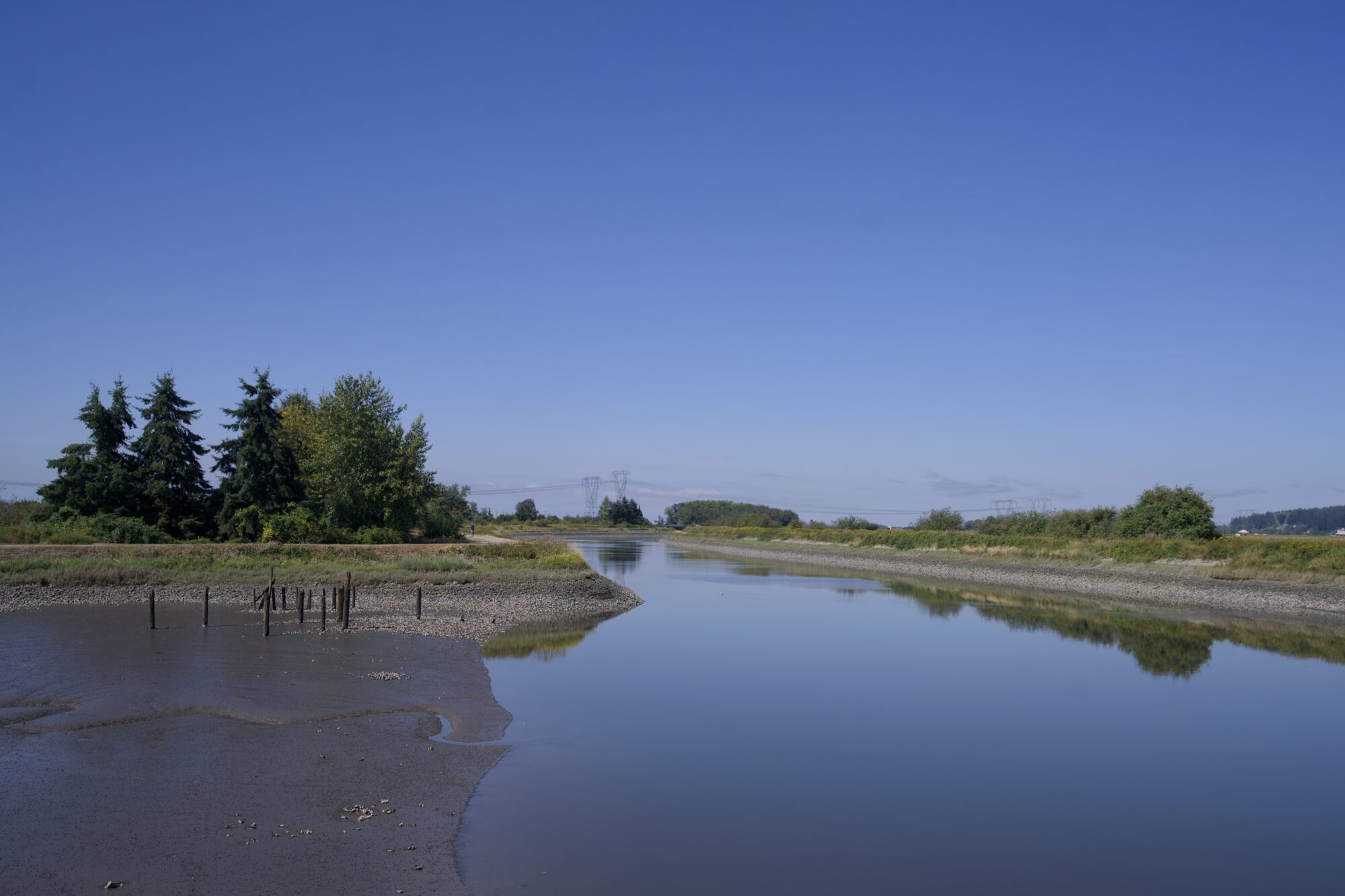 The Serpentine River, with a shallow muddy bay to the right. Far away are power lines
