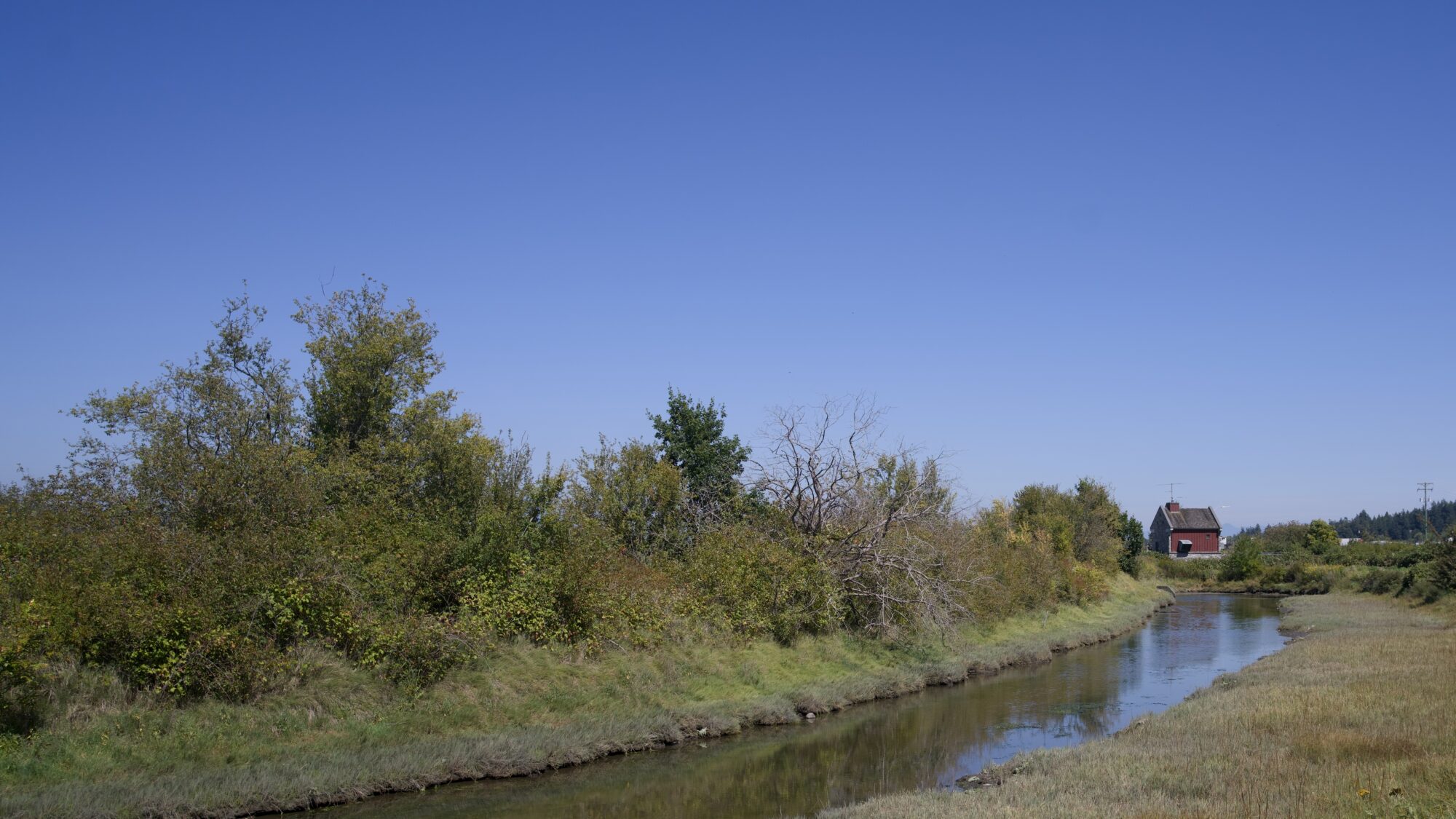 Landscape shot of the Maple Street Pumphouse (a quaint little red house) and the creek leading up to it. On the opposite side are masses of bushes and short trees. Sky is solid blue
