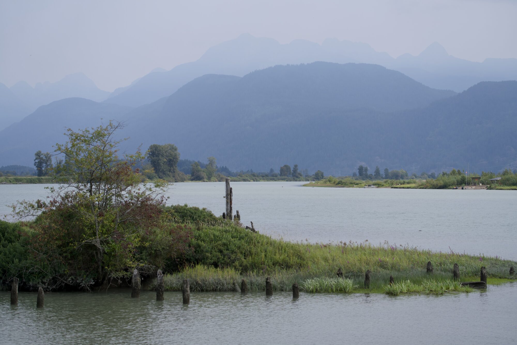 View of Pitt River, under a somewhat grey and smoky sky. Foreground is water, then a spit of land surrounded by small pilings, and on which is a larger grass-covered mount. Further back is the opposite shore, green and dotted with trees. All the way back are rolling hazy bluish mountains