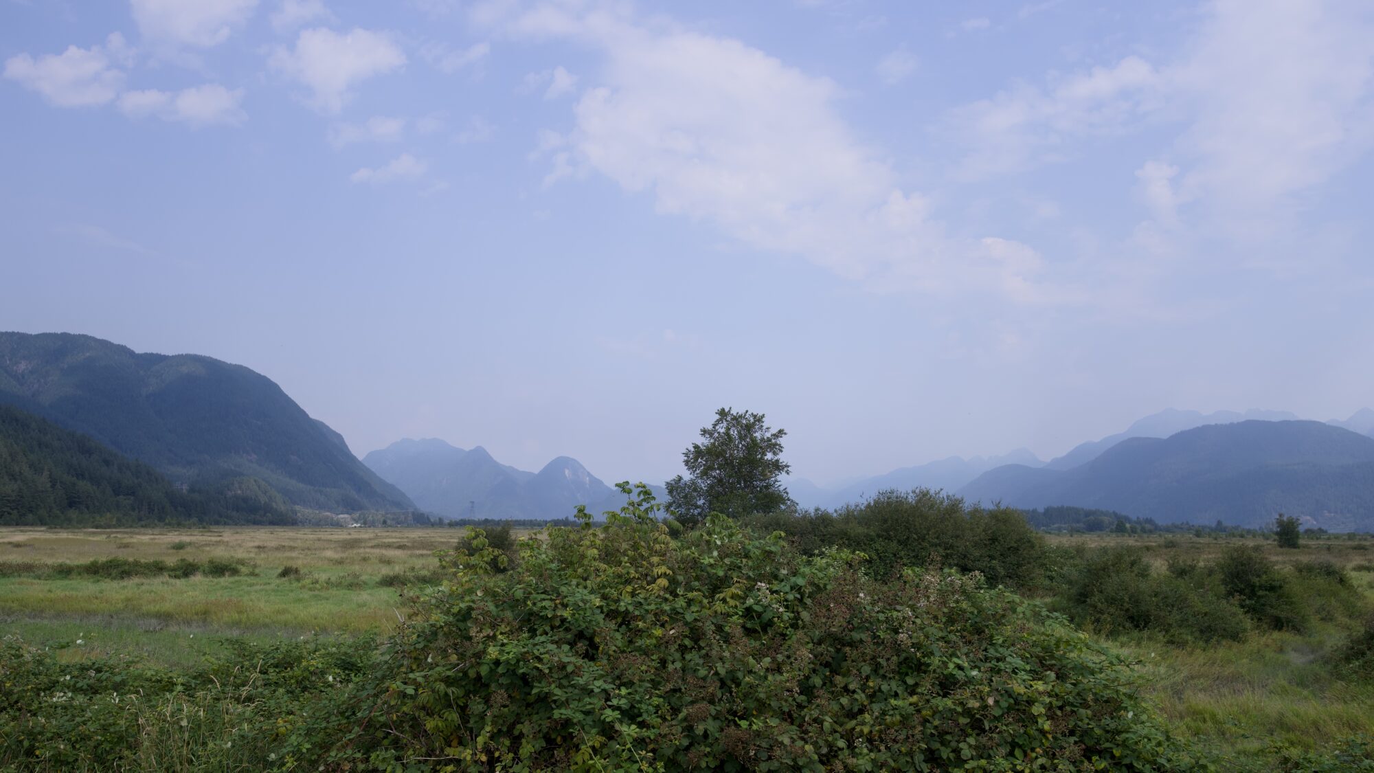 A low green bush in the middle foreground, with fields further back and on either side. Behind all that, bluish rolling mountains, under a monstly blue sky
