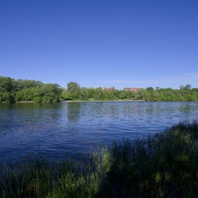 A quiet river, lined by trees and green grasses. Foreground is in the shade, but the opposite side is brightly lit, under a bright blue sky