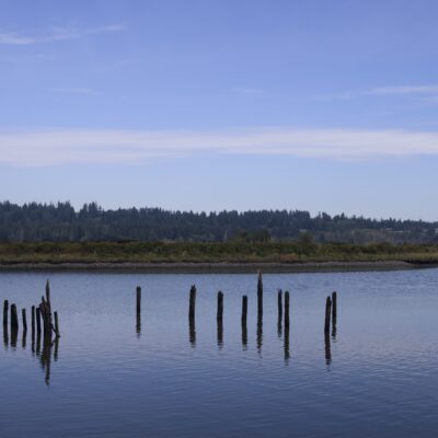 Serpentine River, with a few pilings in the middle of the water