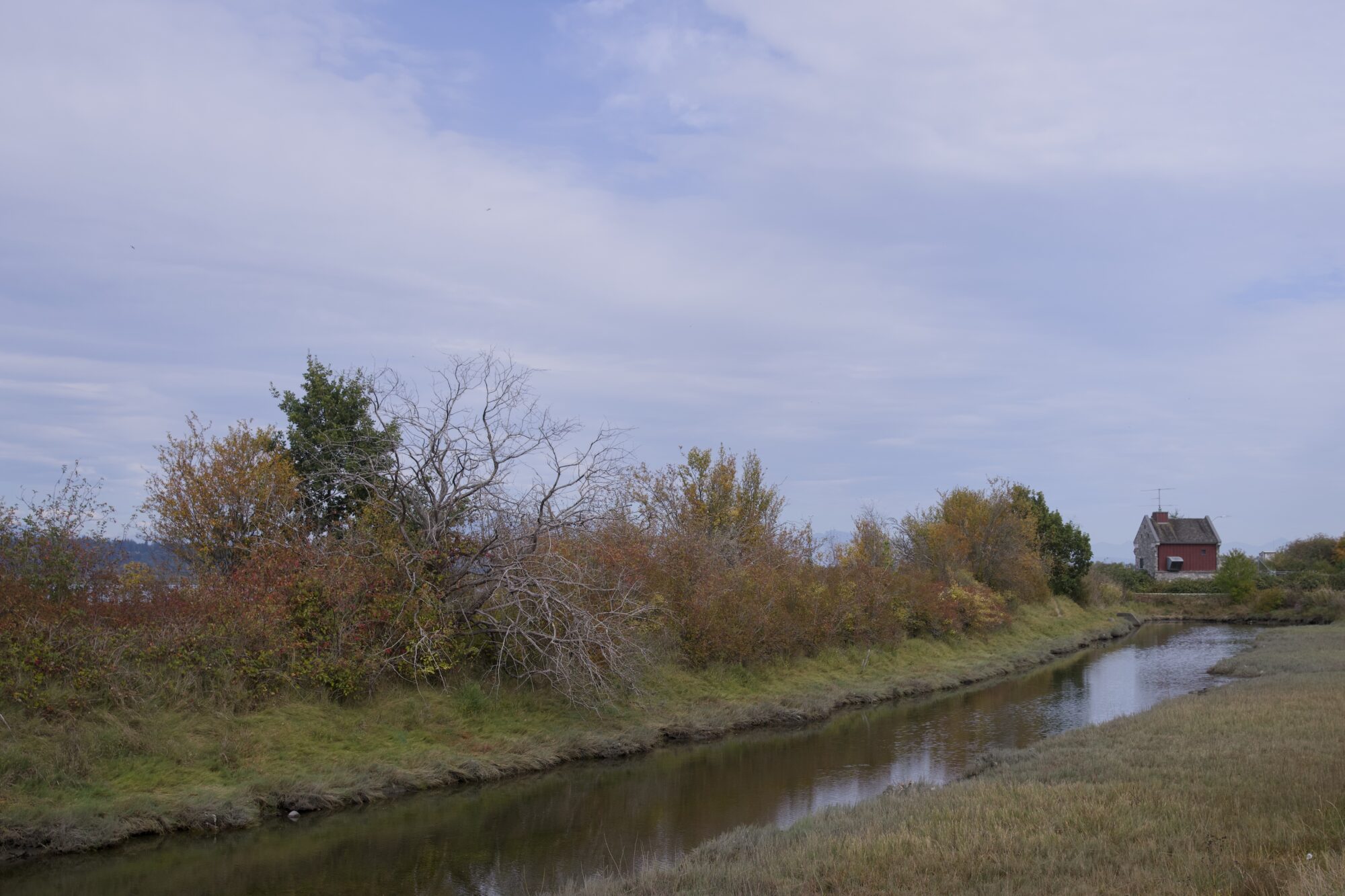 The Maple Street pumphouse at the end of a creek. Trees on the opposite shore are starting to turn a bit red / yellow. The sky is partly cloudy