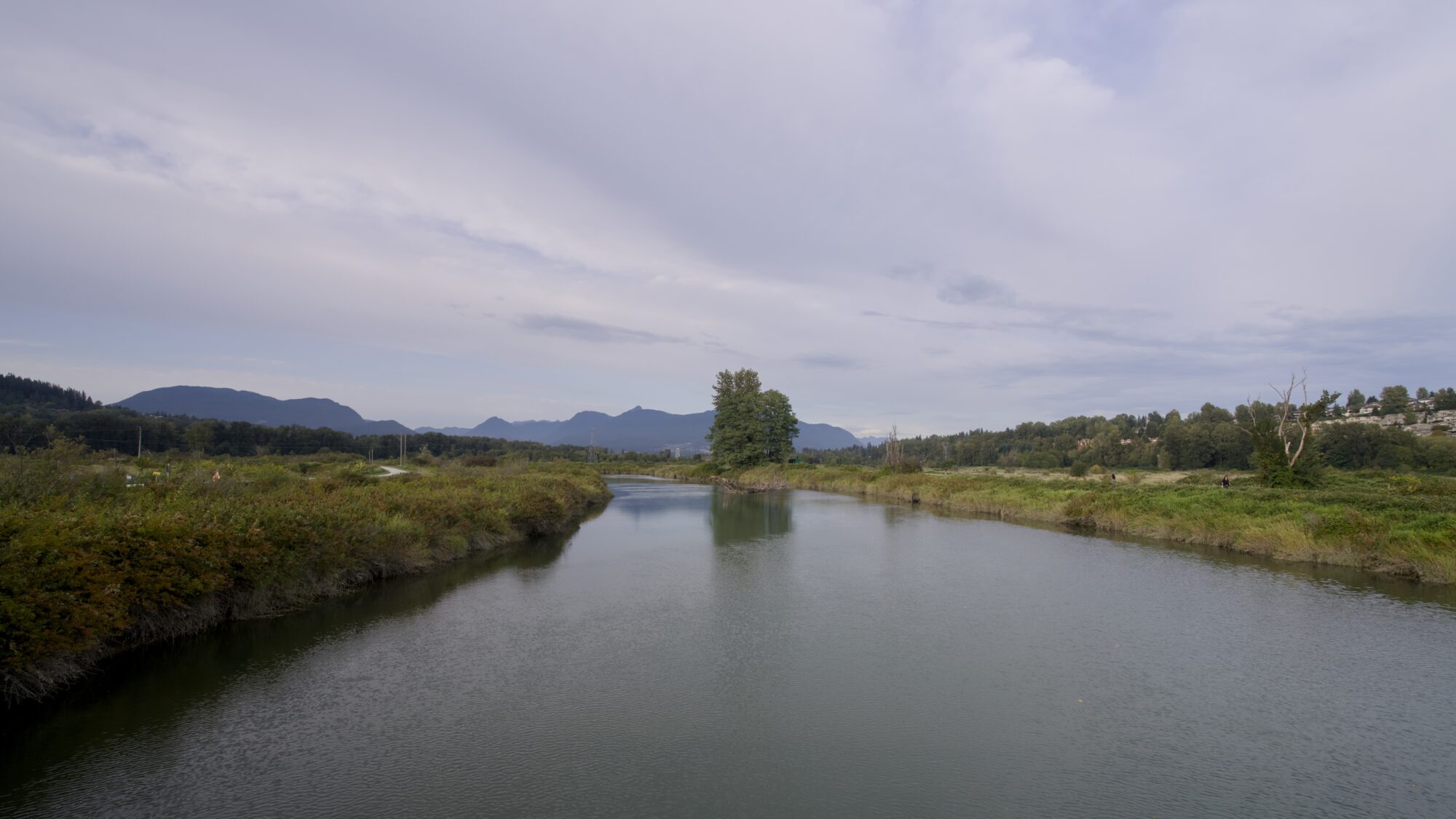 Coquitlam River, under a mostly cloudy sky. The water level is pretty high, the water is calm and a bit greenish