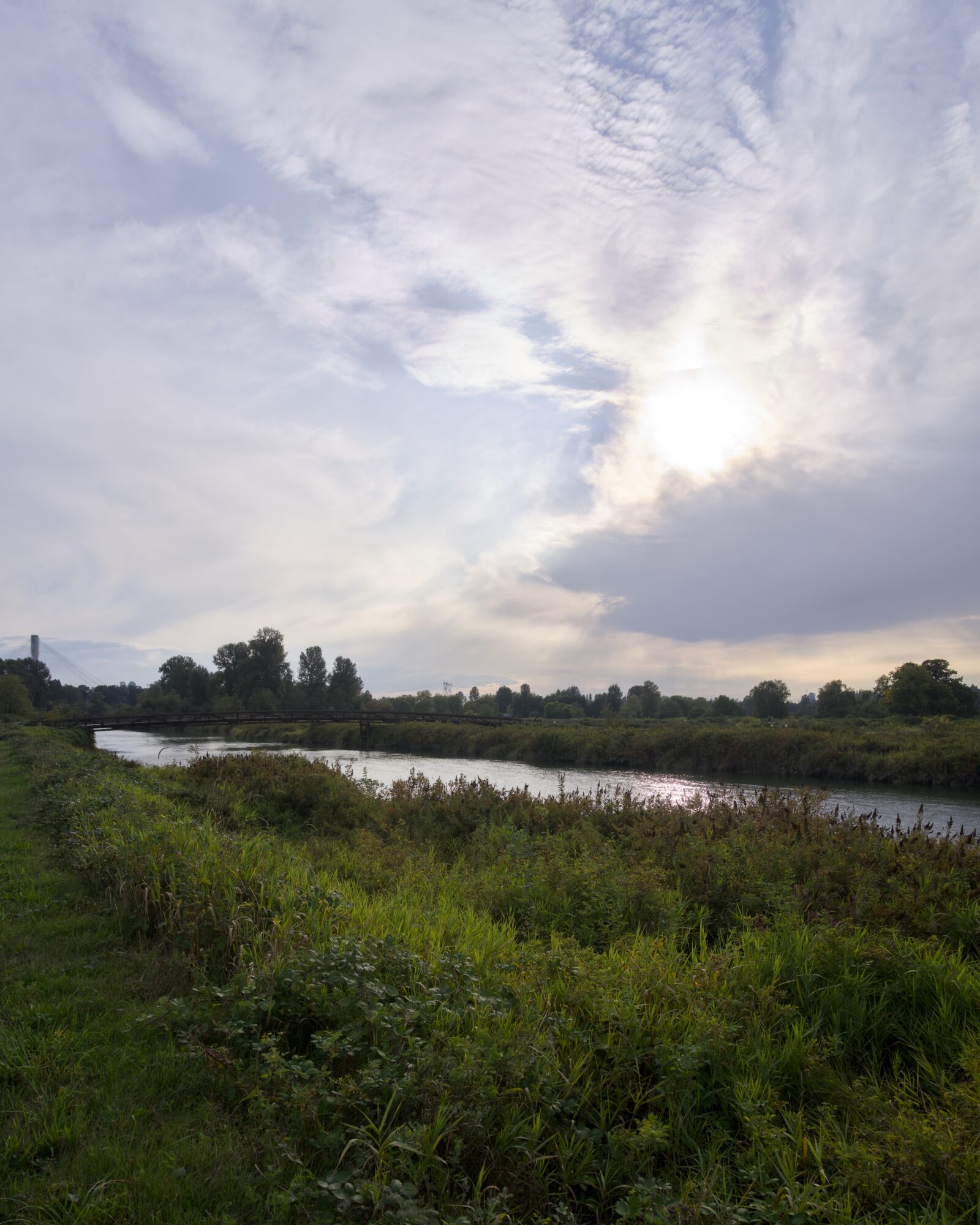 A small creek, with green bushes in the foreground. Above is a swirl of soft clouds and the low sun