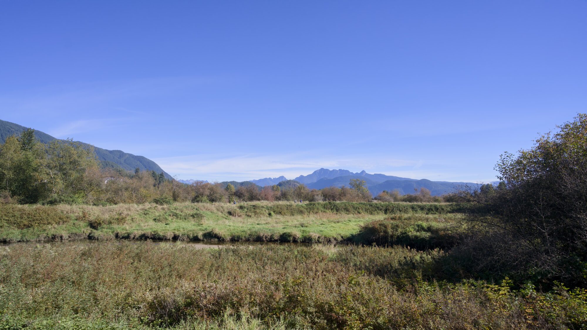 View from DeBoville Slough trail south, looking north: bushes, flat grasslands with low trees, hazy blue mountains, and a mostly blue sky