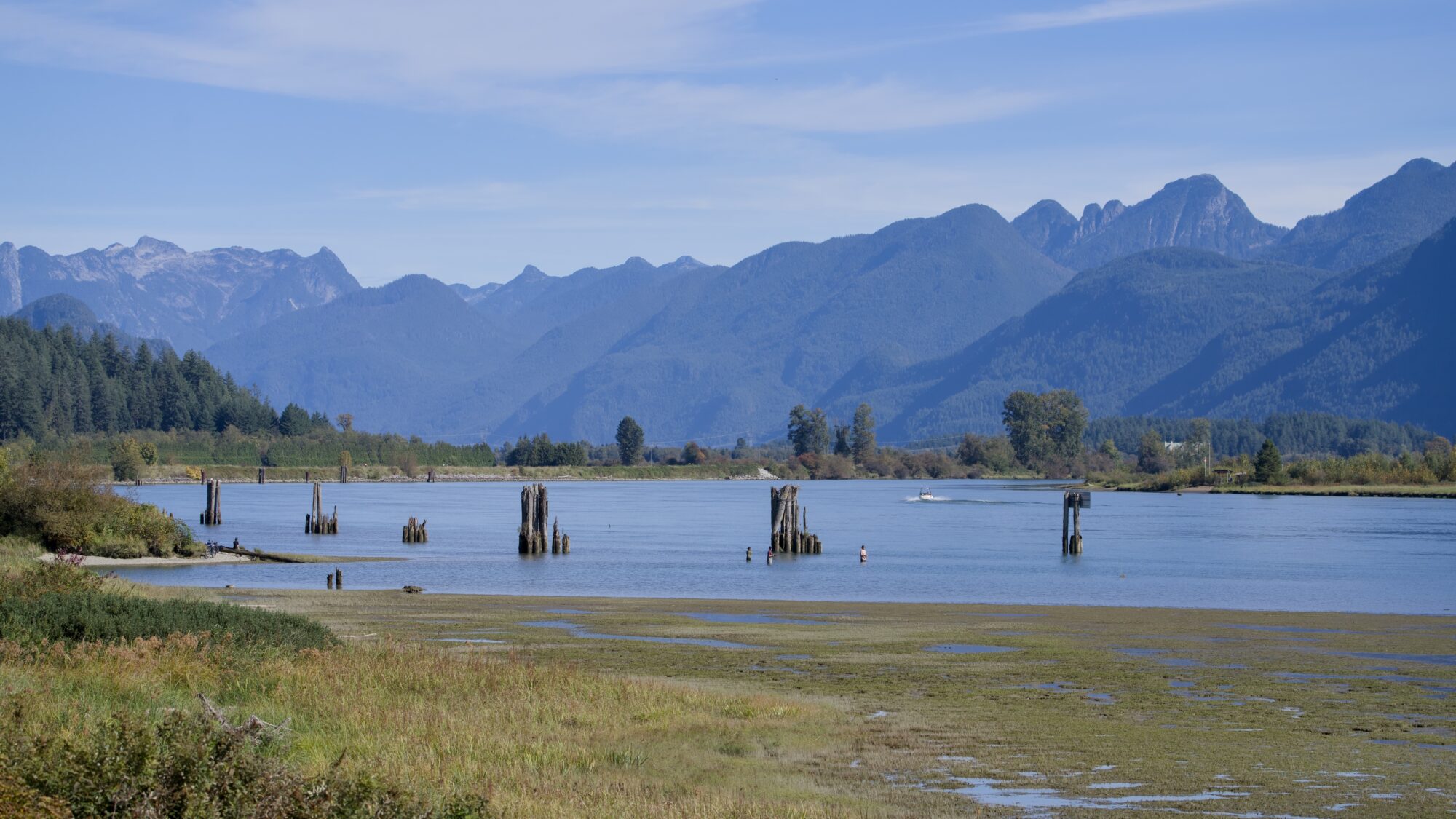 Pitt River under a mostly solid blue sky. Grassy tidal flats in the foreground, some pilings in the water, low mountains on the opposite shore