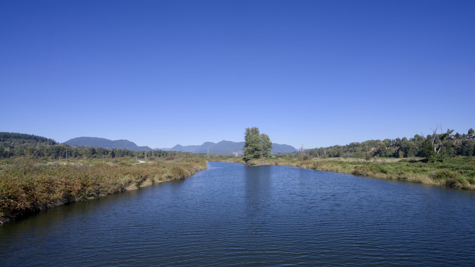 Coquitlam River under a solid blue sky. The water level is fairly high, and the water is very blue
