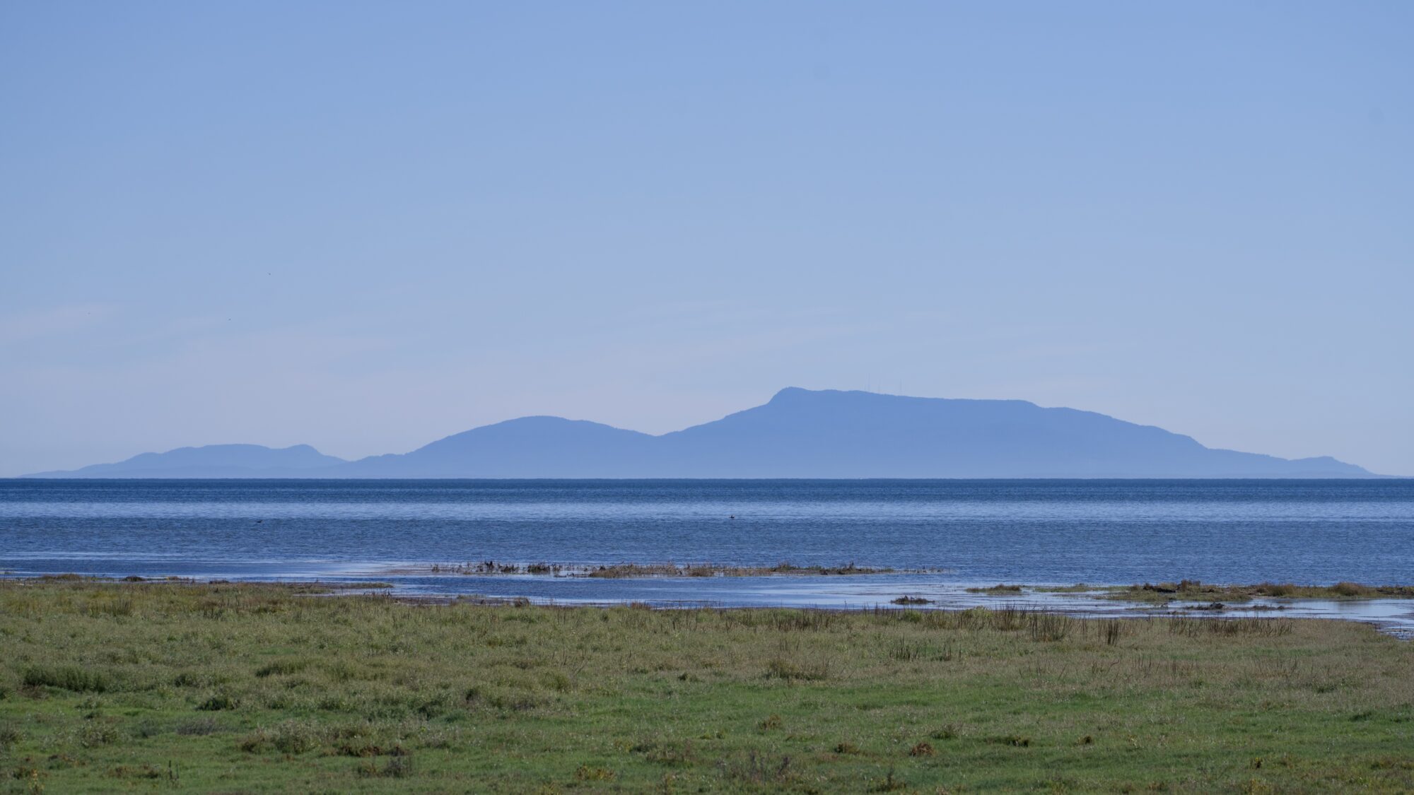 View from Boundary Bay: low marshy tidal flats, open water, and bluish mountains in the distance. Sky is solid blue